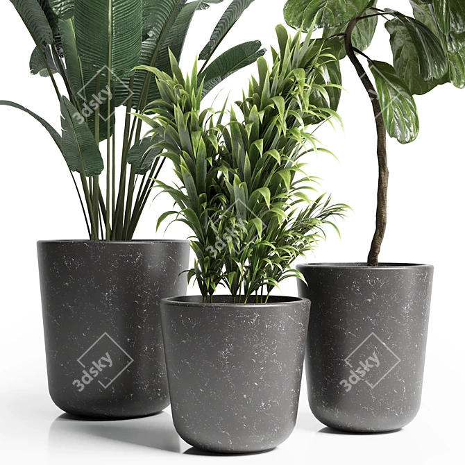 21 Indoor Plant: 3Dmax Model (Vray & Corona) 3D model image 2