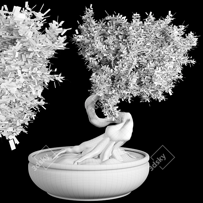 Elegant Bonsai Plant: 140cm Diameter, 210cm Height 3D model image 4