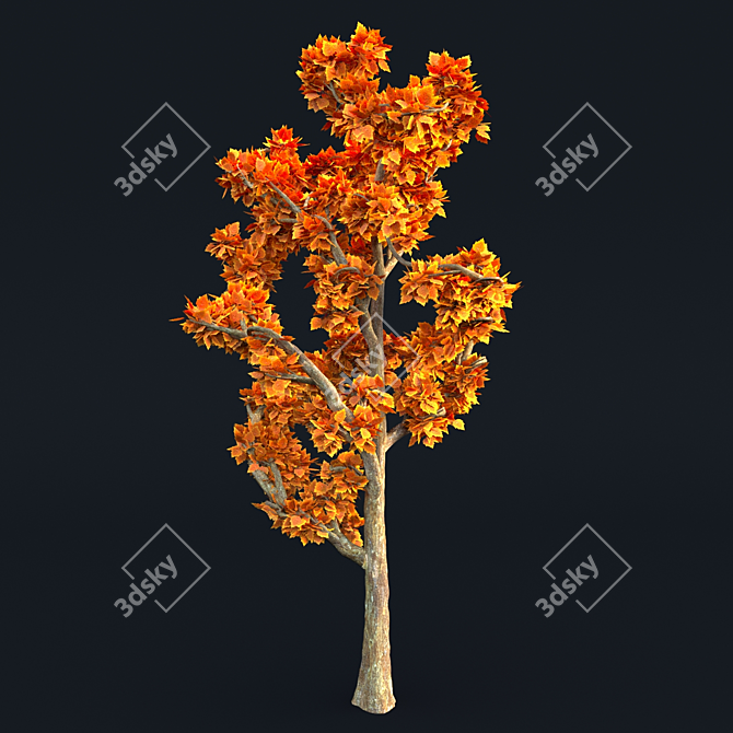 2017 Tree Model: Unwrapped, Corona Render Compatible 3D model image 2