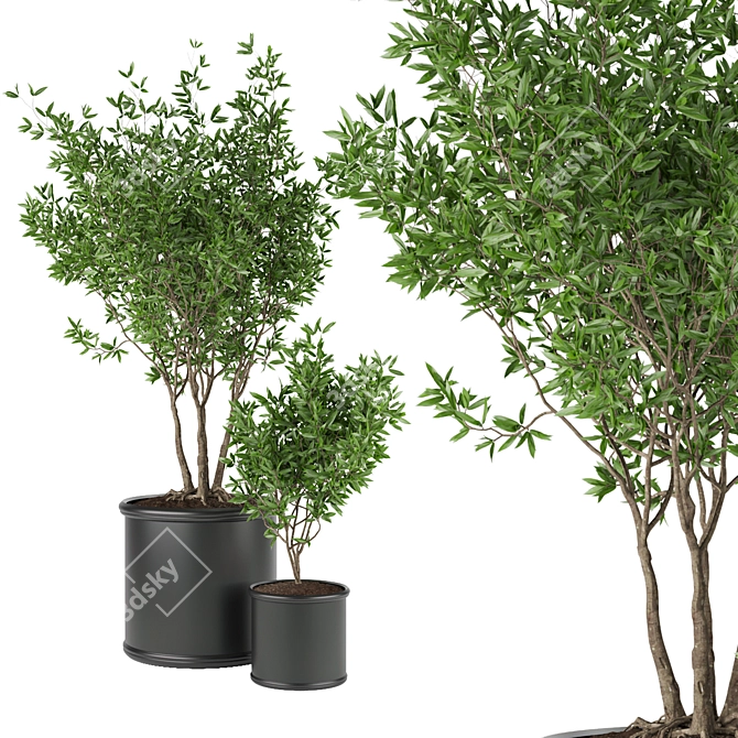 Premium Plant Collection Vol. 93 3D model image 1