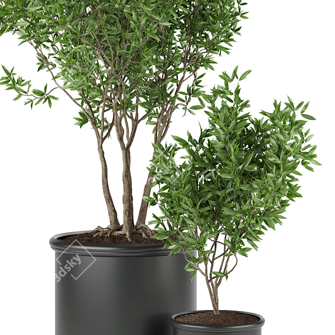 Premium Plant Collection Vol. 93 3D model image 2
