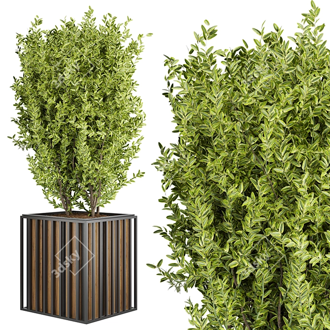 Botanical Beauty: Vol 94 Plant Collection 3D model image 3