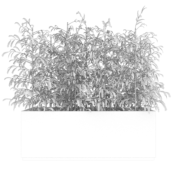 Premium Plant Collection: Vol. 95 3D model image 4