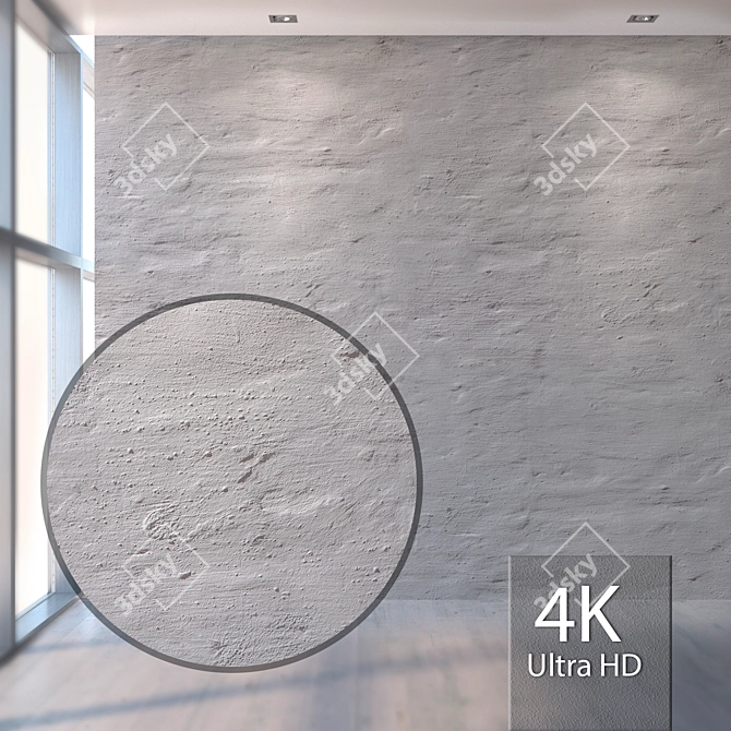 Historic White Plaster Texture 3D model image 1