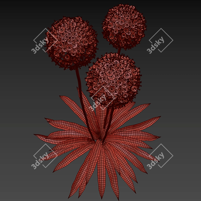 Elegant Allium "Mont Blanc" Bow 3D model image 2