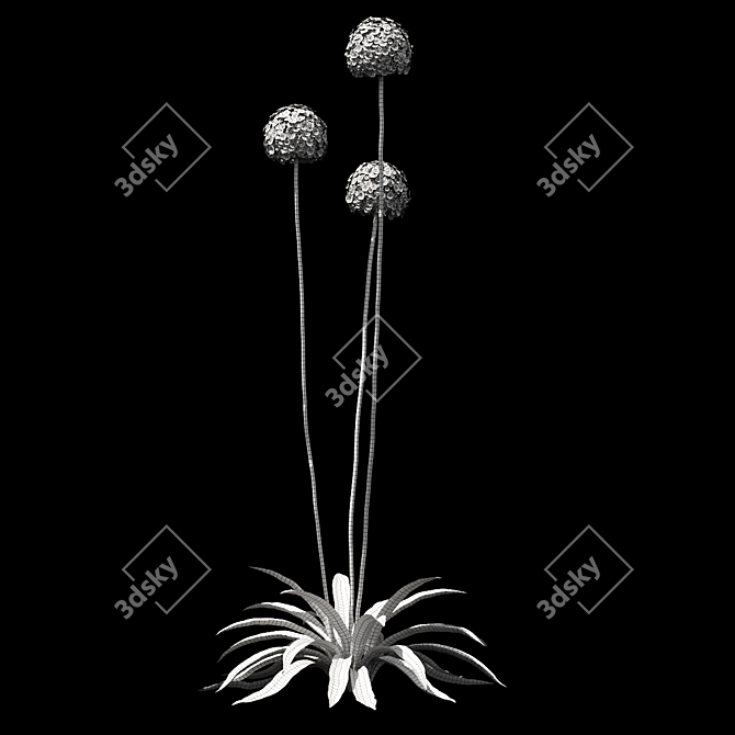 Elegant Allium "Mont Blanc" Bow 3D model image 4