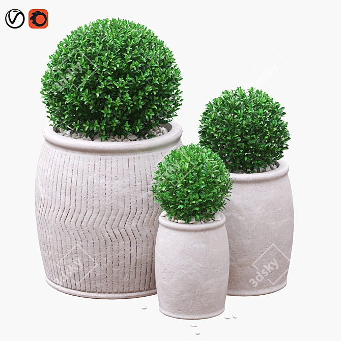 Green Boxwood Trio in Chic Ceramic Pots 3D model image 1