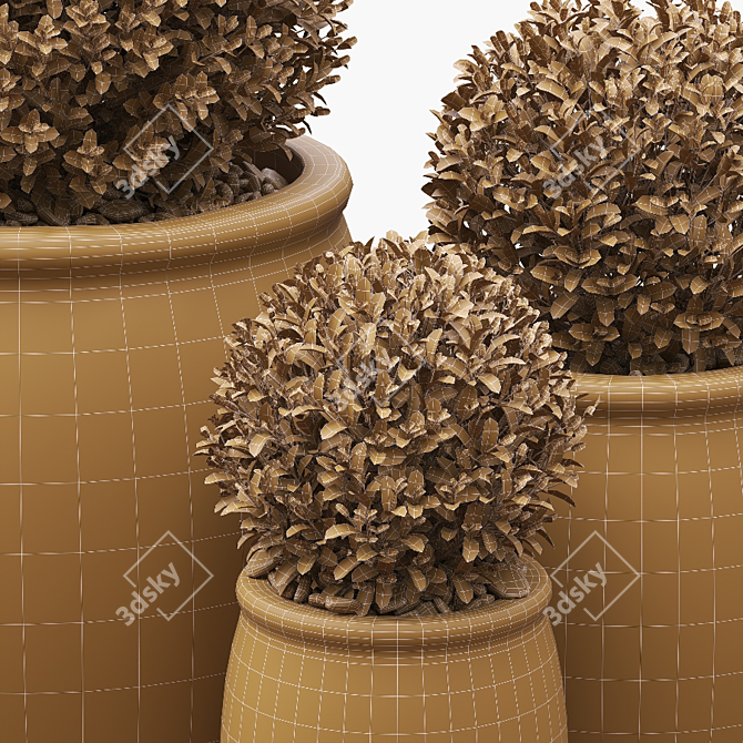 Green Boxwood Trio in Chic Ceramic Pots 3D model image 5