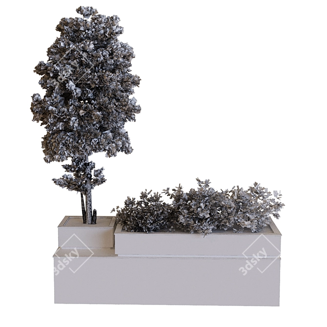 Evergreen Tree Box Set 3D model image 2