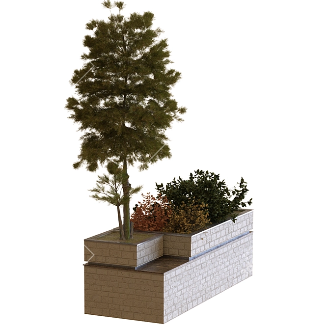 Evergreen Tree Box Set 3D model image 4