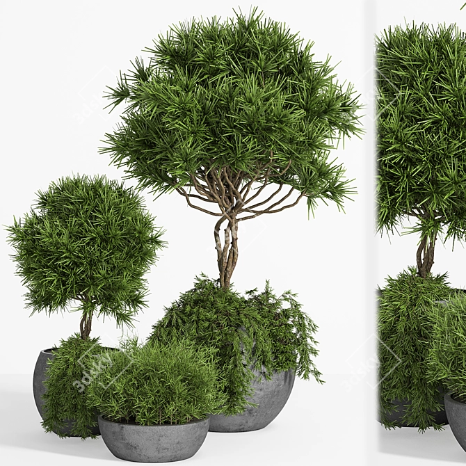 Indoor/Outdoor Decor Accent: Outdoor Plants Tree 04 3D model image 1