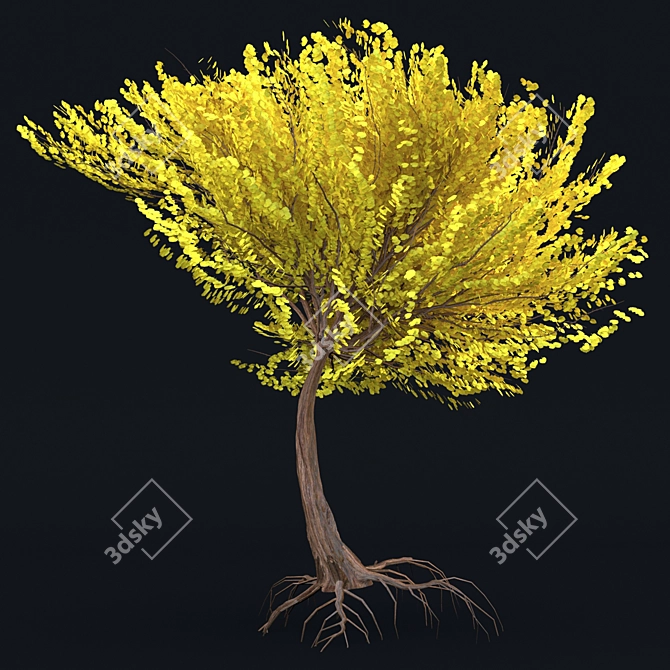 2017 Tree Model: Unwrapped, Corona Render 3D model image 2