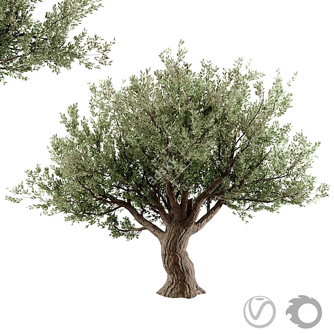 Stunning 3D Tree Model 3D model image 1