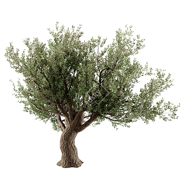 Stunning 3D Tree Model 3D model image 2