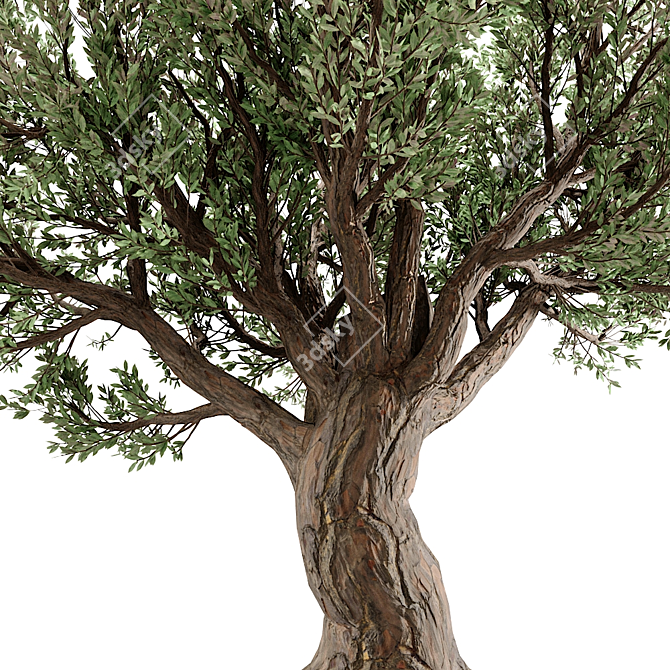 Stunning 3D Tree Model 3D model image 3