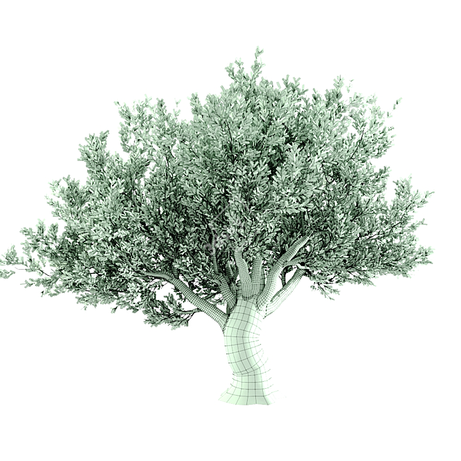 Stunning 3D Tree Model 3D model image 4
