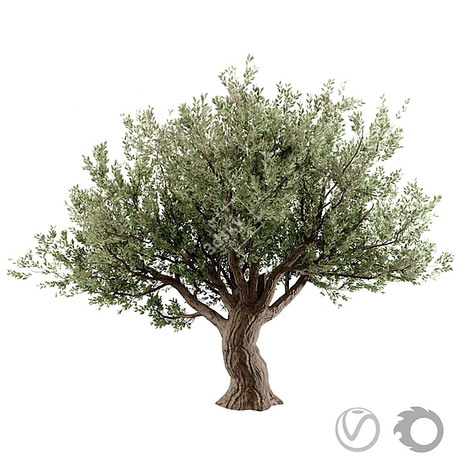 Stunning 3D Tree Model 3D model image 5