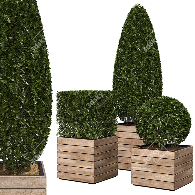 3 Model Shape Bush Plant 3D model image 1