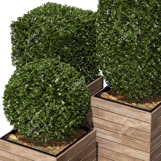 3 Model Shape Bush Plant 3D model image 2