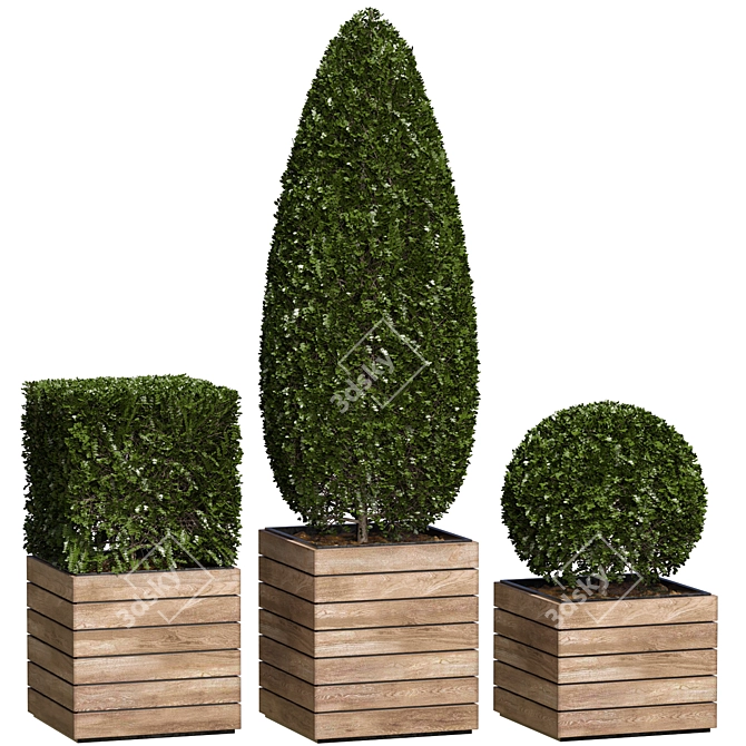 3 Model Shape Bush Plant 3D model image 3