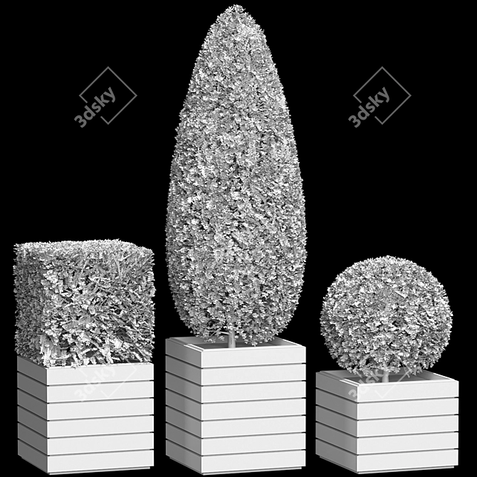 3 Model Shape Bush Plant 3D model image 4