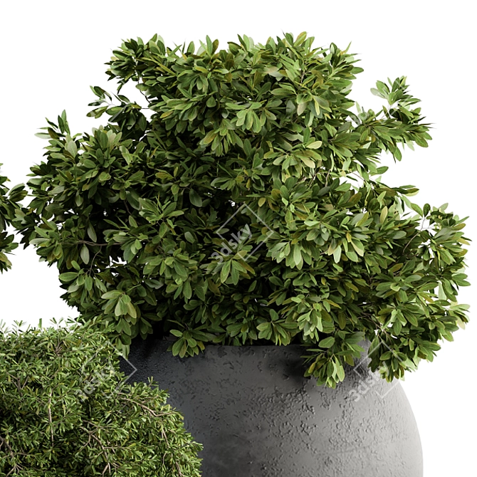 Greenery Delight - Indoor Plant Set 3D model image 3