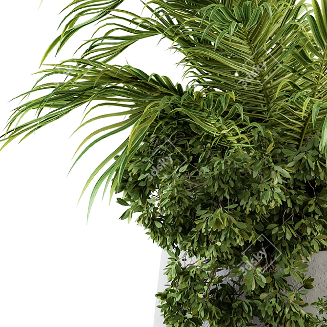 Greenery Delight - Indoor Plant Set 3D model image 4