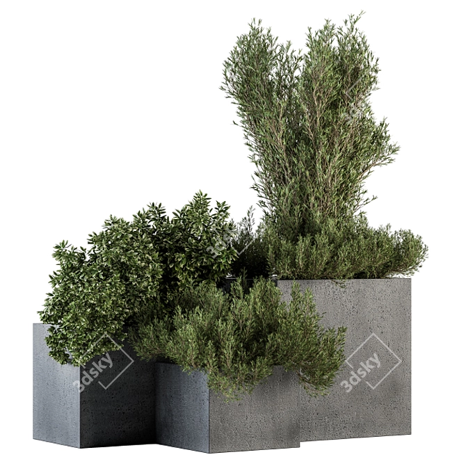 Concrete Box Outdoor Tree Set 3D model image 1