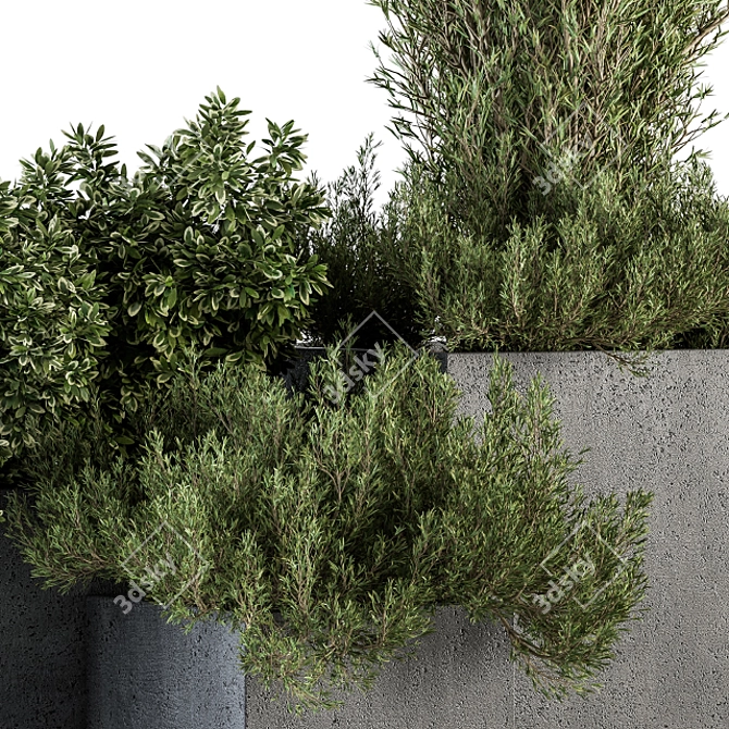 Concrete Box Outdoor Tree Set 3D model image 2