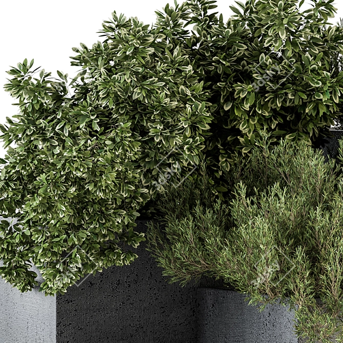 Concrete Box Outdoor Tree Set 3D model image 4