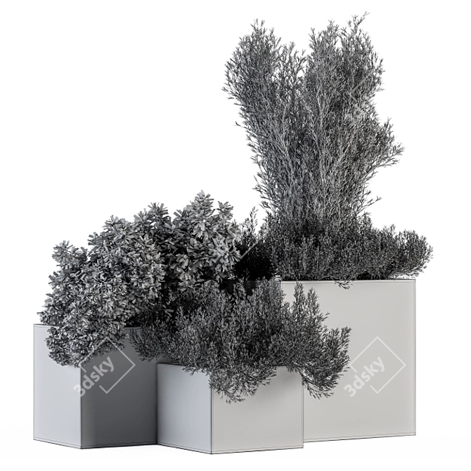 Concrete Box Outdoor Tree Set 3D model image 5