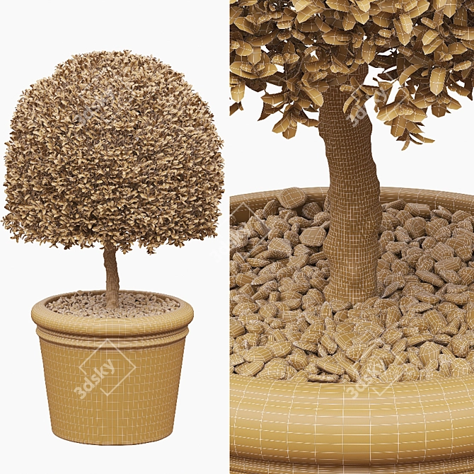 Semi Boxwood Bush: Stylish & Compact 3D model image 5