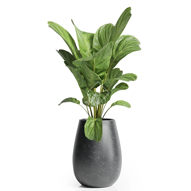 Title: 23 Indoor Plant | High-Quality 3D Model 3D model image 3