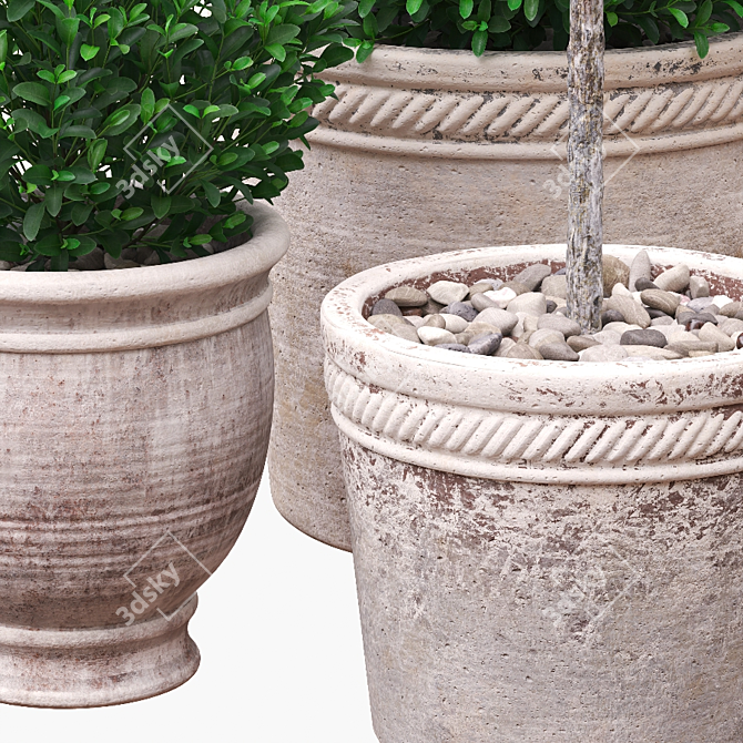 Artificial Boxwood Bushes in Stylish Pots 3D model image 3