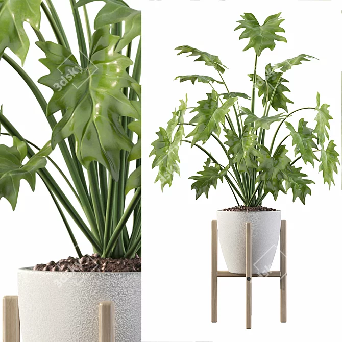 Exquisite Philodendron Xanadu: Plant Collection 094 3D model image 1