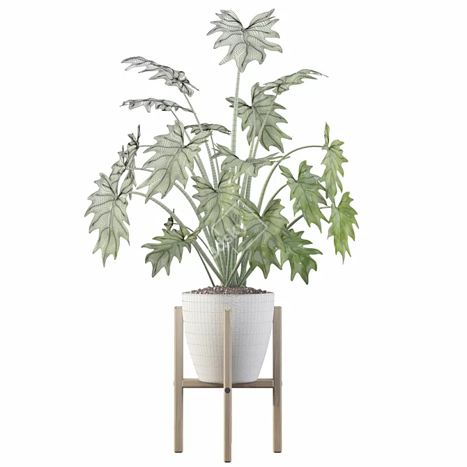Exquisite Philodendron Xanadu: Plant Collection 094 3D model image 2