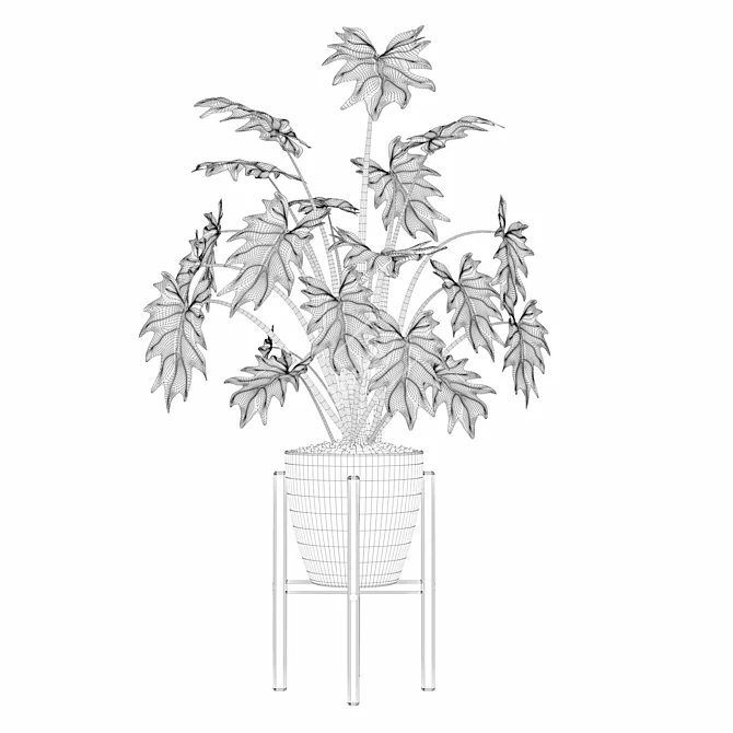 Exquisite Philodendron Xanadu: Plant Collection 094 3D model image 3