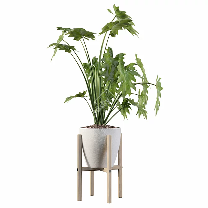 Exquisite Philodendron Xanadu: Plant Collection 094 3D model image 4