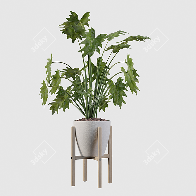 Exquisite Philodendron Xanadu: Plant Collection 094 3D model image 5