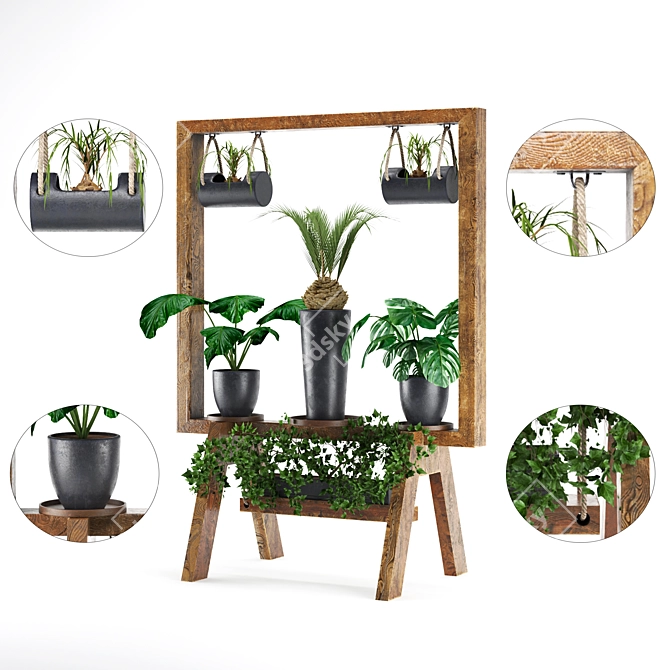 Wooden Plant Collection Stand 3D model image 1