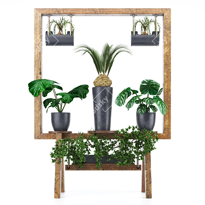 Wooden Plant Collection Stand 3D model image 5