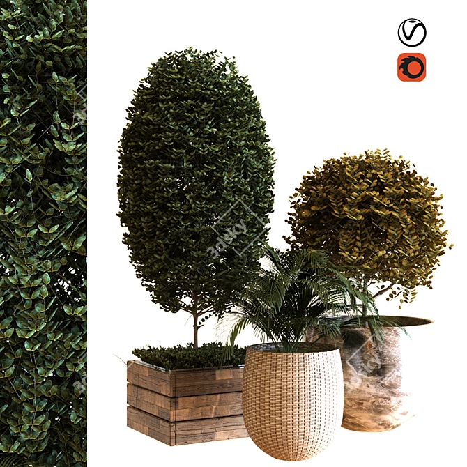 Botanical Box Set 038: Lush Greenery for Your Space 3D model image 1