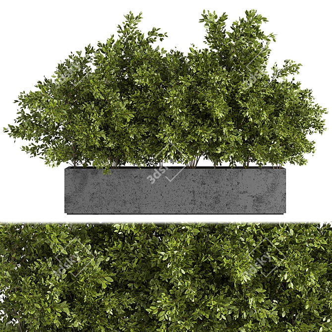 Outdoor Oasis: Concrete Box Tree 3D model image 1
