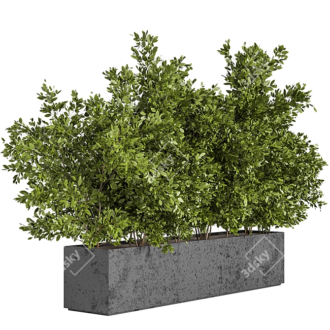 Outdoor Oasis: Concrete Box Tree 3D model image 2