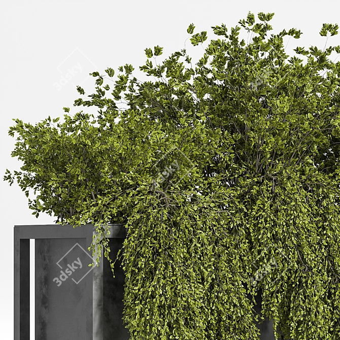 Exquisite Indoor Plant Set 3D model image 4