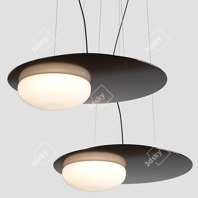 Contemporary Pendant Lights | D42cm | 90-260V 3D model image 2