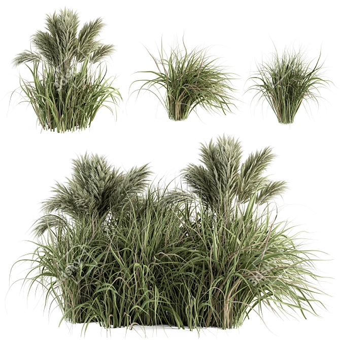 Pampas Oasis - 21 Bush Set 3D model image 2