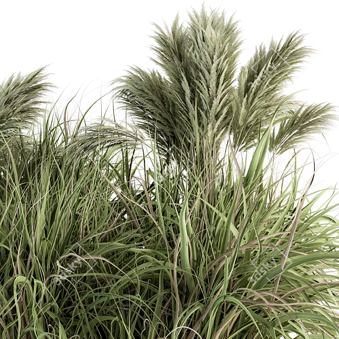 Pampas Oasis - 21 Bush Set 3D model image 3