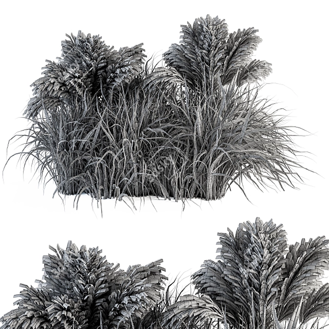 Pampas Oasis - 21 Bush Set 3D model image 5