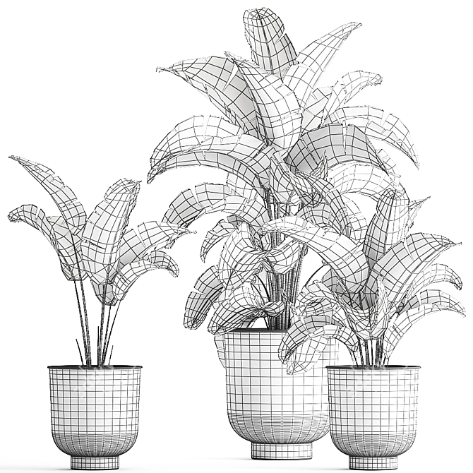 Tropical Paradise Plant Collection 3D model image 5